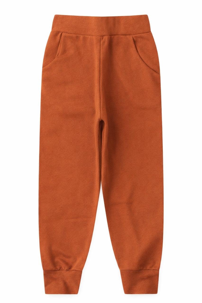 whatsapp image 2026 03 11 at 09 05 36